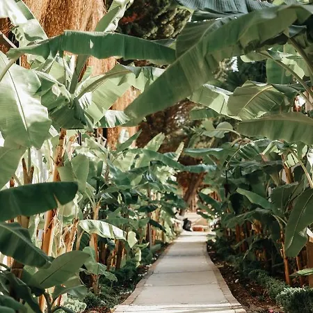 Maja Luxury 4* Cesme