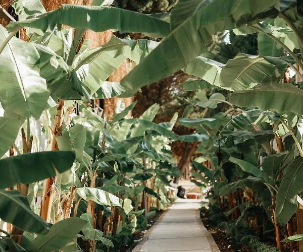 Maja Luxury 4* Çeşme